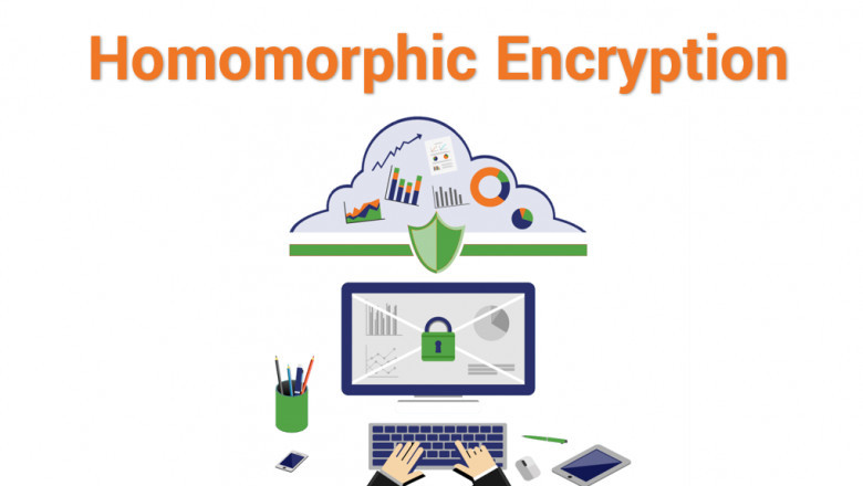 Homomorphic Encryption Market Professional Survey Report 2030