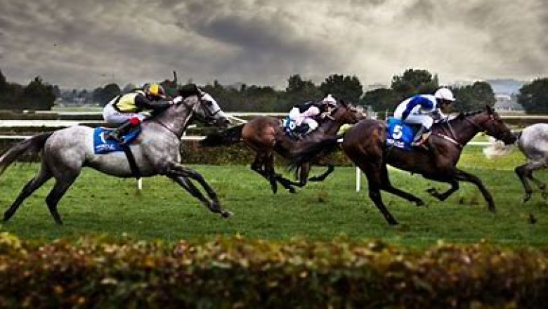 Horse Racing Market 2022 : Industry Outlook, Regional Analysis and Forecast 2028
