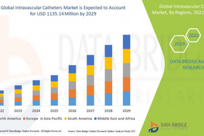 Intravascular Catheters Market - Future Market Insights