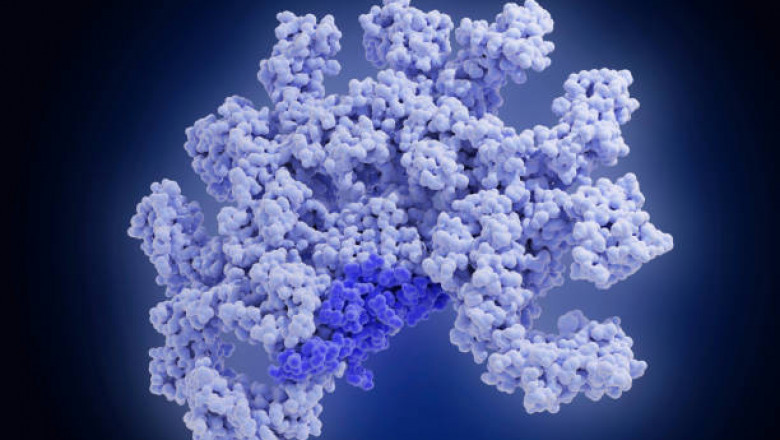 Proteomics Market Growth and Analytical Insights