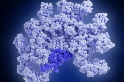 Proteomics Market Growth and Analytical Insights