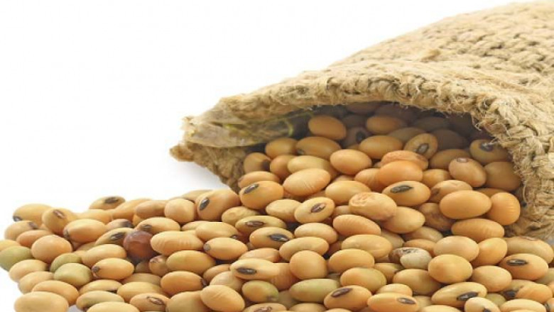 Soy Protein Isolate Can Still Be A Great Option For Organic And Renewable Protein Substitutes
