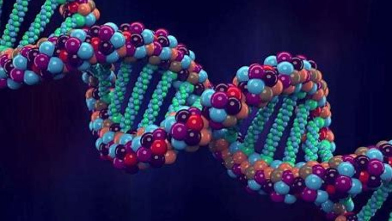 Whole Genome Synthesis Market Share, Size, Trends, Industry Analysis Report To 2028