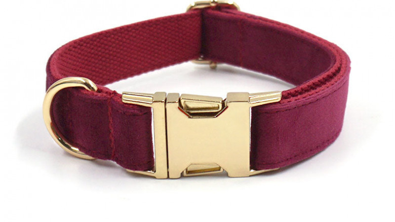 Before purchasing a dog collar, keep the following in mind