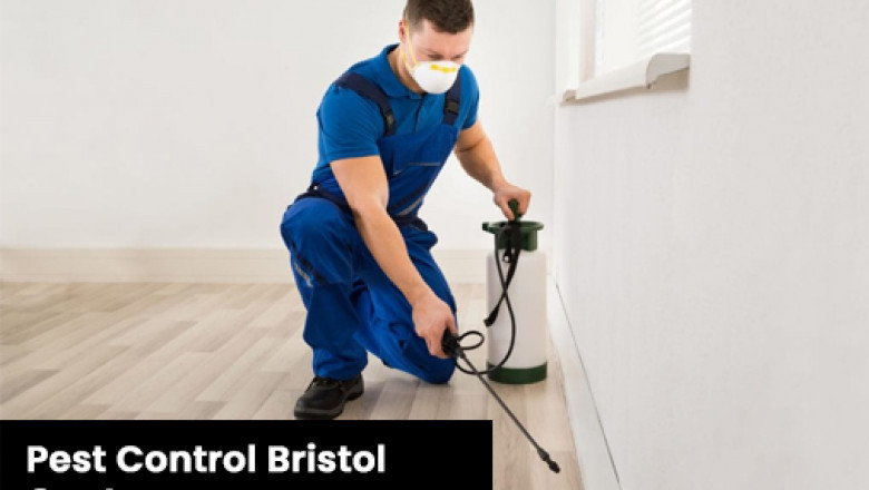 Best emergency pest control Bristol