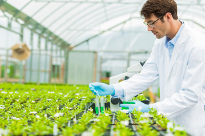 Biologics Have Gained A Popularity In Recent Years Because To Treat A Variety Of Illnesses And Ailments