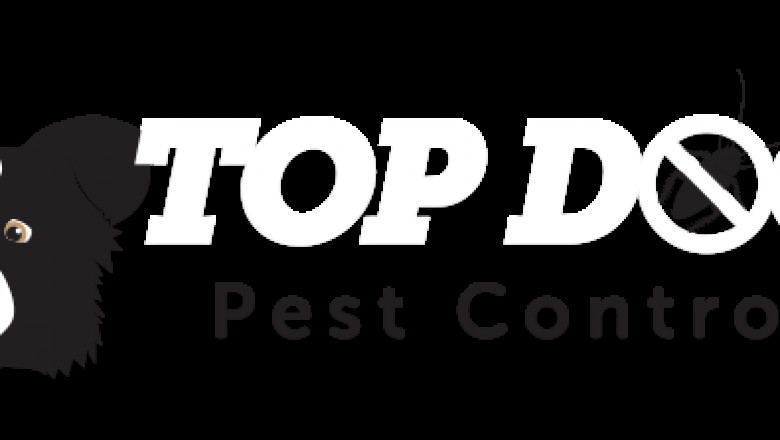 Building and Pest Inspection Gold Coast