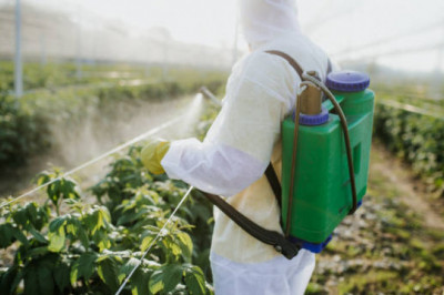 How to clean your home of pests without using harsh chemicals