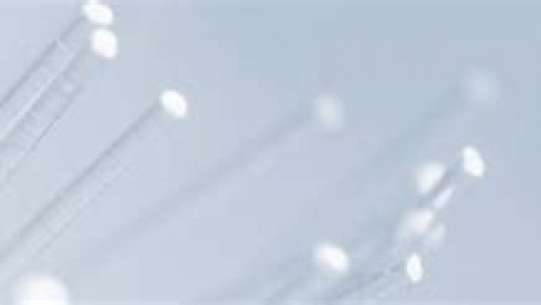 Huawei H19-321 Dumps Collection &amp; H19-321 Exam Flashcards - New H19-321 Real Exam