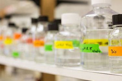 Proteinase K Market Along with an In-depth Analysis of the Competitive Landscape 2022-2028