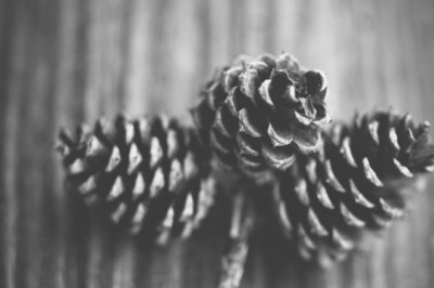 17 reasons why you should ignore most reliable greek news websites