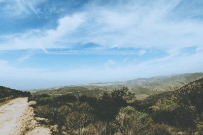 20 best tweets of all time about greek daily news