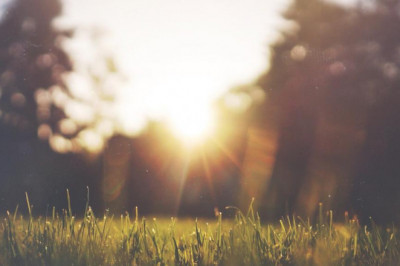 30 of the punniest latest news in greece puns you can find