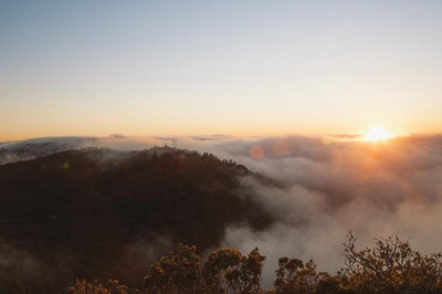 5 vines about greek news online that you need to see