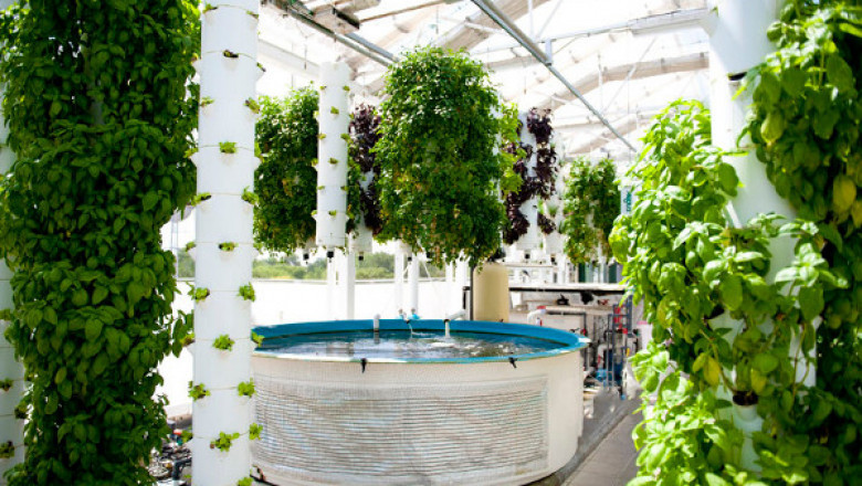 Aquaponics Farming Market Size, Share, Regional Overview and Global Forecast to 2028