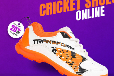 Buy Cricket Shoes & Spikes for Men Online at Best Price