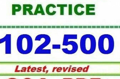 Lpi Reliable 102-500 Test Prep & Exam 102-500 Course - Updated 102-500 Test Cram