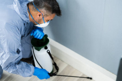 The Best Way to Clean Carpet for the New Year