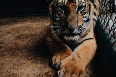 por que sustituir las cerraduras de tu casa nueva