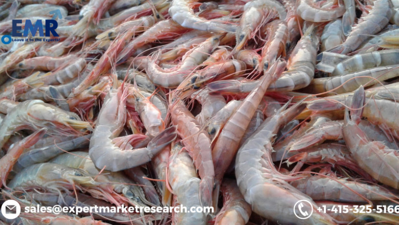 Latin America Shrimp Market