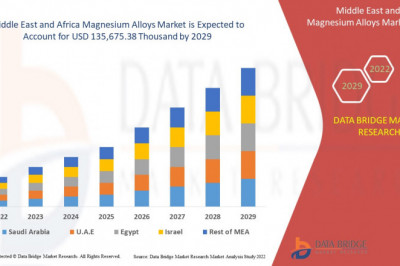 Middle East and Africa Magnesium Alloys Market Insight Business Opportunities, Revenue, Gross Margin and Forecast 2029