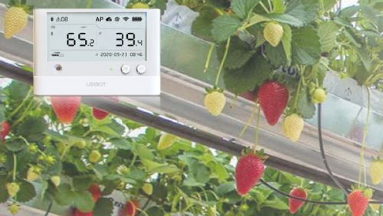 Top 5 IoT Based Smart Agricultural Solutions