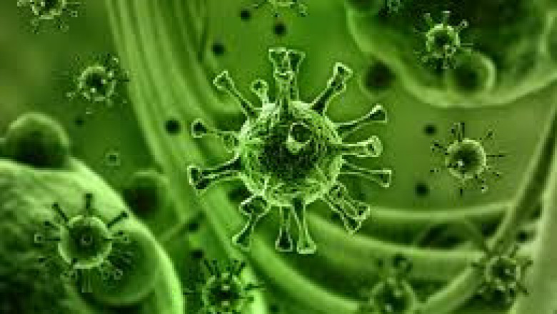 Virus Filtration Market 2022 Size, Key Players & Forecast Report to 2028