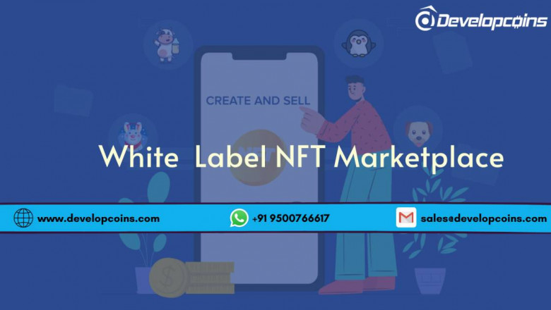 What Is The Need OF An NFT Marketplace?