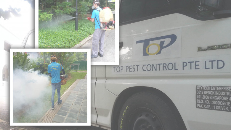 Why Are Bug Control Administrations Important?