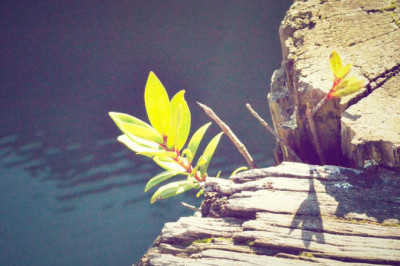 11 ways to completely ruin your greek news