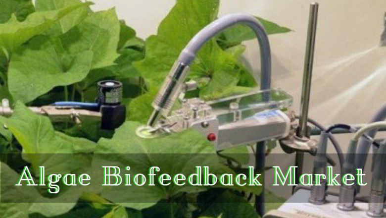Algae Biofeedback Market 2022 Key Players, Share & Forecast Report to 2028