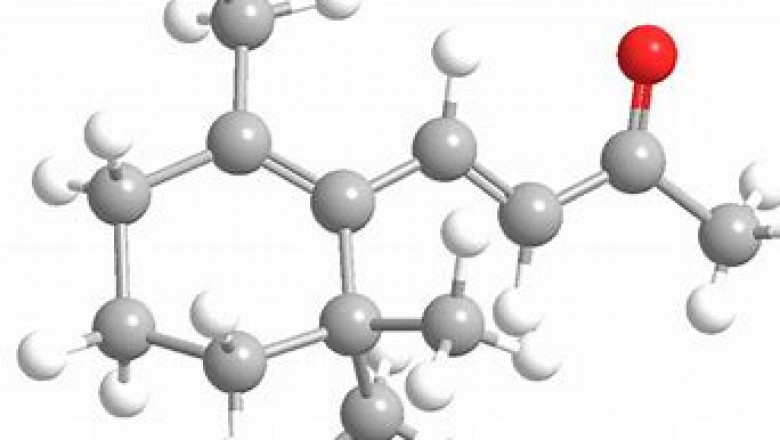 B-Ionone Market Competitive Landscape and its Industry Growth Prospect By 2028