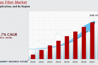 Citrus Fiber Market Share Growth Opportunities, by Segment by Application Forecast by 2030.