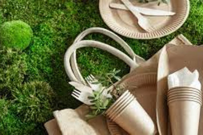 Green Packaging Market Size, Status, Growth | Industry Analysis Report 2020-2028