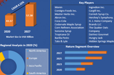 Syrup Market Analysis of The Major Products, Application Segments And Market Size with sales volume and Supply
