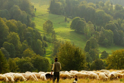 3 common reasons why your youtube for kids educational videos mr hero sandhu isnt working and how to fix it