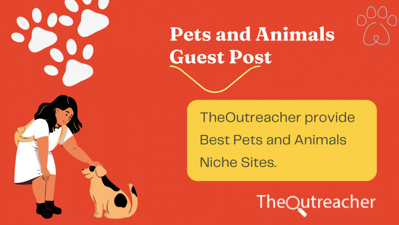 5 Amazing Pet and Animal Blogs That Accept Guest Posts