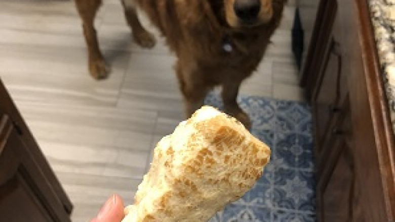 A Brief Introduction To Natural Dog Chews & Its Benefits