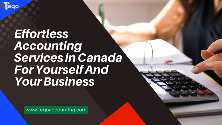 Account Auditing Services Provided by Accounting Firms