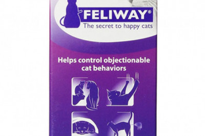 Get Your Feliway Spray at the Lowest Price