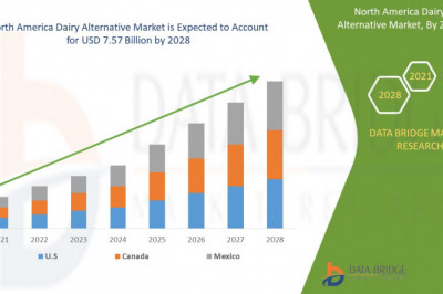 North America Dairy Alternative Market Size, Industry Scope, & Forecast By 2029