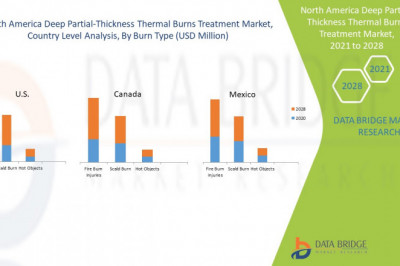 North America Deep Partial-thickness Thermal Burns Treatment Market current and Future Growth