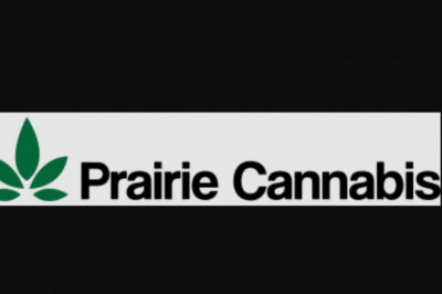 Options to consider prior to visiting a dispensary the very first time