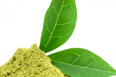 Organic Henna Powder Manufacturers in India