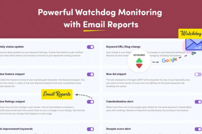 SERP Notification Ranking