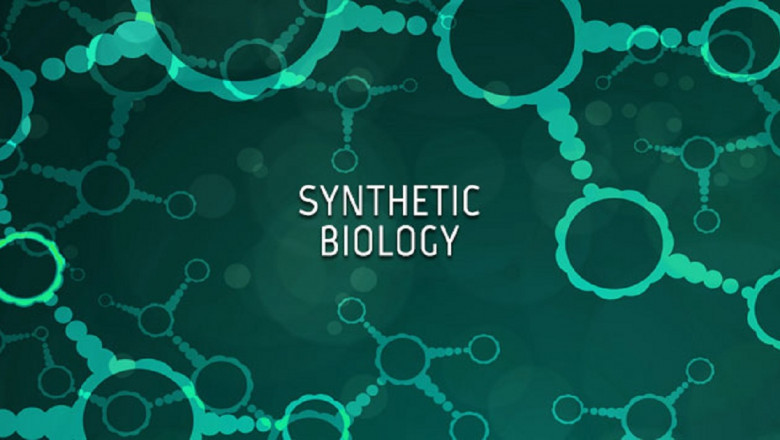Using synthetic biology, biology can be engineered more easily