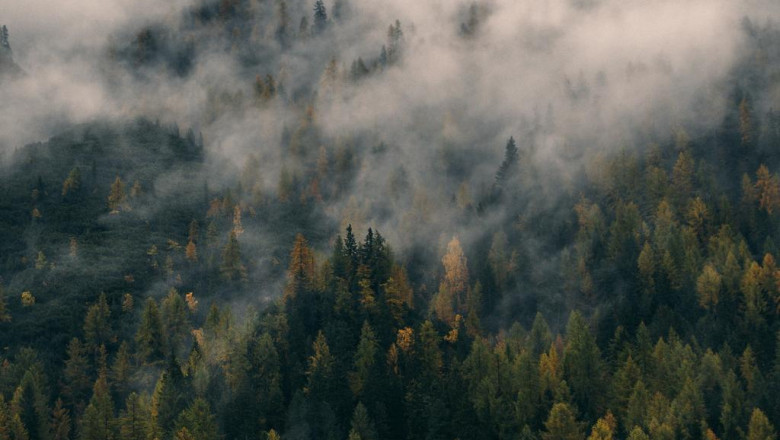 a whole information to sustaining your eavestrough