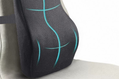 Buy Sleepsia Back Support Pillow For Spine Pain Relief