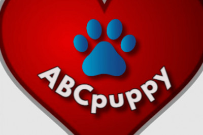 From Texas Puppies For Sale, You Can Find Your Favorite Pup