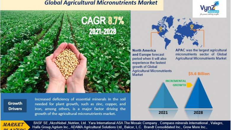 Global Agricultural Micronutrients Market Research Report, Latest News, Status and Forecast by 2028 | VynZ Research